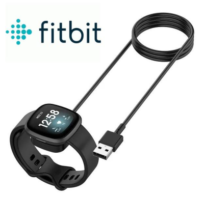 Fitbit - Chargeur Magnétique Fitbit Pour Montre Intelligente