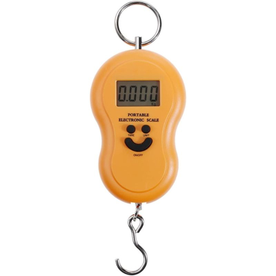 GENERALE - Mini Balance Numérique 50 Kg