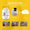 CameraIP 1080p Smart 360 ° / WIFI/ Wireless/ Night Vision/ Audio communication 4.3 out of 5image-2