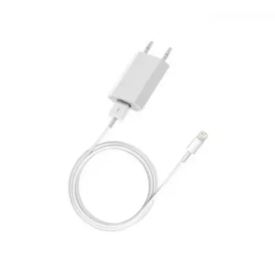 GENERALE - Chargeur IPhone Rapide + Cable 1M De Haute Qualité