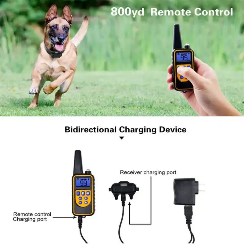 Collier de Dressage Électrique 800m – Chien Étanche avec Écran LCD image 3