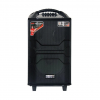 Haut-parleur Karaoké Portable 200W image 1