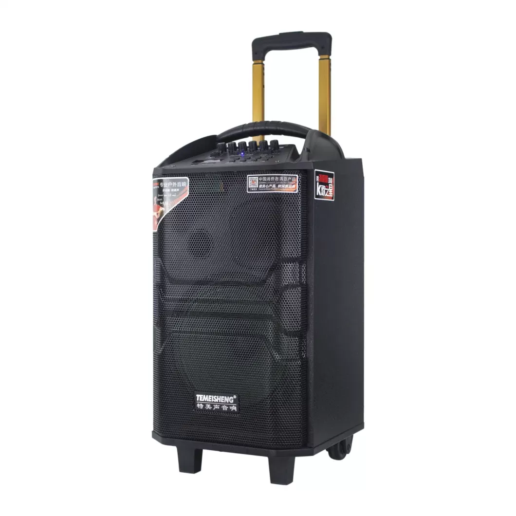 Haut-parleur Karaoké Portable 200W image 3