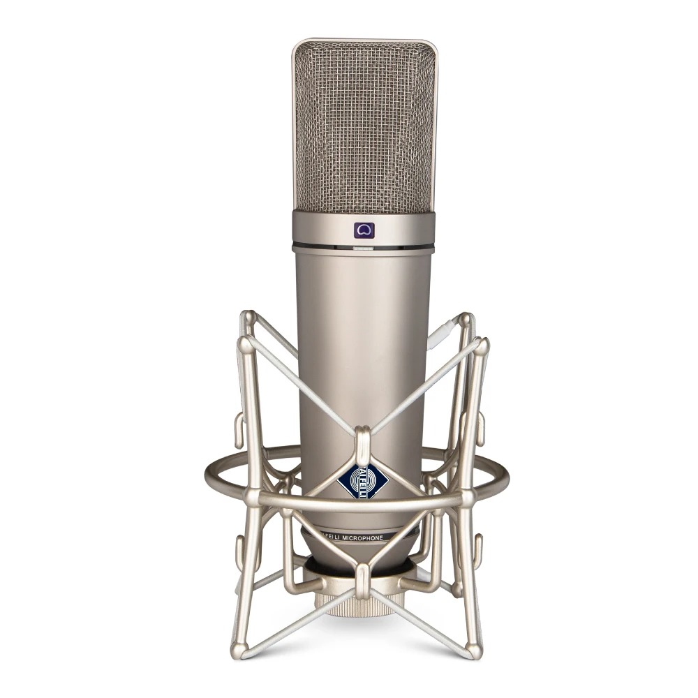 Microphone Condensateur XLR Professionnel image 1
