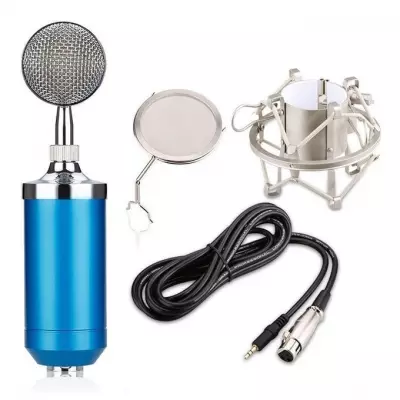 GENERALE - Microphone de condensateur professionnel de studio de son