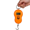 Mini Balance Numérique 50 Kgimage 4