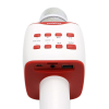 Microphone et Haut-Parleur Hi-Fi pour Karaoké Portable sans Fil Bluetooth Moxomimage-2