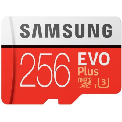 Samsung Carte Mémoire Micro SD EVO Plus 256 Go Classe 10 Ulra HD 4K Avec  Adaptateur SD 